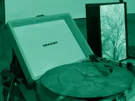 Gif with photograph from Tree Rings' Player